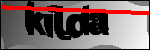 متن برای شناسایی