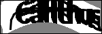 متن برای شناسایی